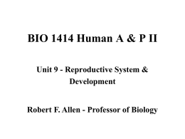 BIO 1414 Human A & P II