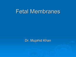 10-Fetal_Membranes