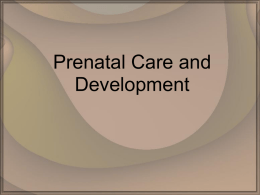 Pregnancy and Development