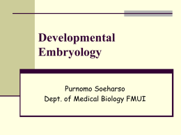 Developmental Embryology