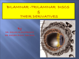 5-Bilaminarand trilaminar discs[2015]