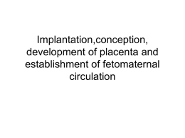 Implantation, Conception, Development of Placenta