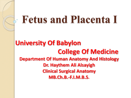 Fetus and Placenta I