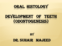 Development of teeth (odontogenesis)