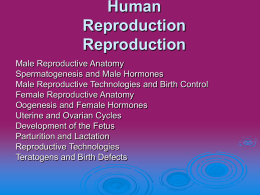 Human Reproduction Reproduction