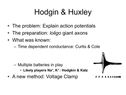 Hodgin & Huxley - Stanford University