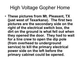High Voltage Gopher Home