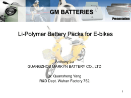 History of Lithium Polymer Battery Packs for EV