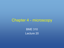 Chapter 4 - microscopy