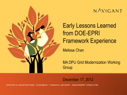 Advice from DOE-EPRI Framework Experience