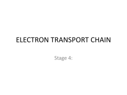 ELECTRON TRANSPORT CHAIN (student).
