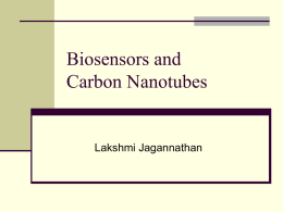 Carbon Nanotubes and Biosensors
