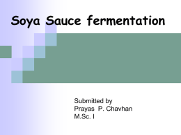 Soya Sauce fermentation - Home
