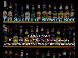 The Science of Beers