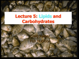 Lecture 6: Lipids and Fatty Acids
