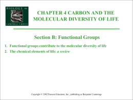 functional groups - Beal Science Dept.