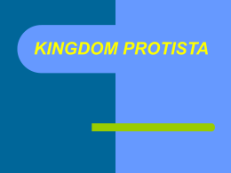 KINGDOM PROTISTA