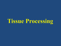 Tissue processing