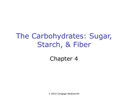The Carbohydrates: Sugar, Starch, & Fiber