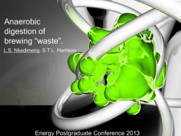 Nkadimeng_L_final - Energy Postgraduate Conference 2013