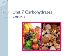 Unit 7 Carbohydrates