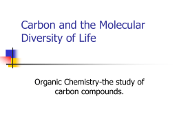 Carbon and the Molecular Diversity of Life