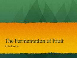 The Fermentation of Fruit