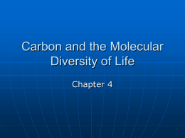 Chp 4 Carbon and Diversity of Life