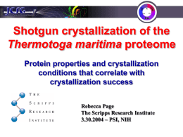 Shotgun crystallization of the T. maritima proteome
