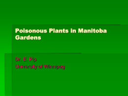Poisonous Plants in Prairie Gardens