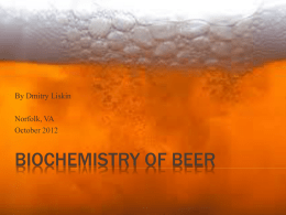 Biochemistry of Beer