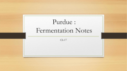 Purdue : Fermentation Notes
