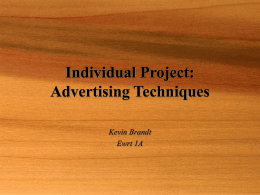 Individual Project: Advertising Techniques