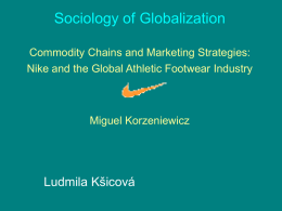 Commodity Chains and Marketing Strategies:Nike and the