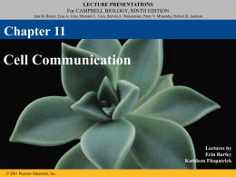 Ch. 11 - Cell Communication