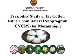 Feasibility Study of the Cotton Value Chain Revival Subprogram