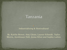 Tanzania (Industrializing Horticultural)