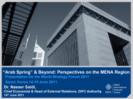 N Saidi The Arab Spring Beyond - Perspectives on MENA Region World