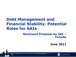 Debt Management Practices and Financial Stability