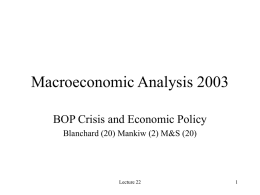 BOP Crisis and Economic Policy