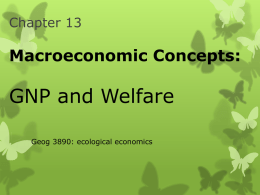 Ch 13: Macroeconomic concepts: GNP and Welfare