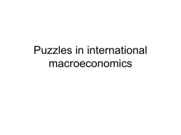 Puzzles in international macroeconomics