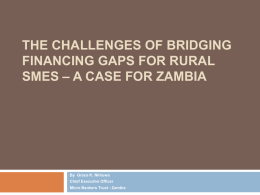 The Challenges of Bridging Financing Gaps for Rural SMEs
