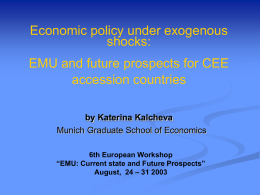Economic policy under exogenous shocks: EMU and future