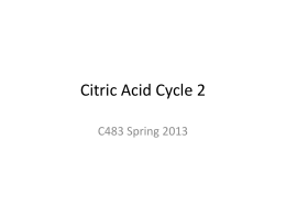 Citric Acid Cycle 2