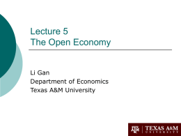 Lecture 8 International Trade and Finance