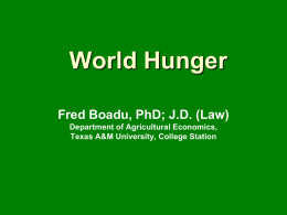 World Hunger Presentation