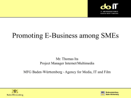 Promoting e-business among SMEs