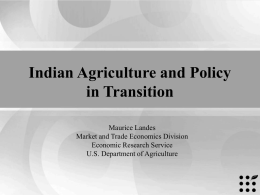 India’s Oilseed Sector: Implications of Policy and