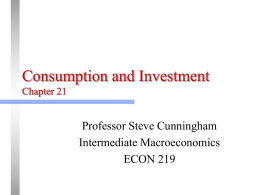 Chapter 20: Consumption and Investment